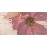 Декор Opoczno Stone Rose Flower А