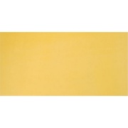 Настенная плитка Pamesa Ceramica Agatha 25x50 Amarillo