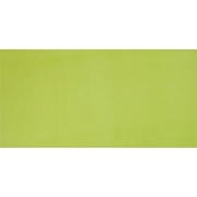Настенная плитка Pamesa Ceramica Agatha 25x50 Pistacho