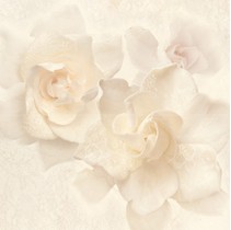 Pamesa Ceramica Dante Dec. Alobras pack 2