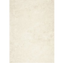 Pamesa Ceramica Neo Marfil