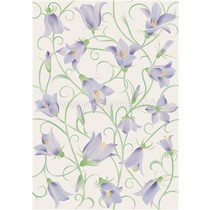 Peronda Provence NYONS-L