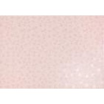 Peronda Provence CASSIS-R-12855-(33x47)