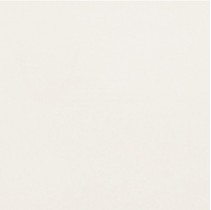 Petracer`s Carisma Bianco-12 Thassos Superiore Lucidato