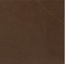 Petracer`s Carisma Marrone-72 Collemandina Originale Lucidato