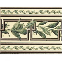 Petracer`s Grand Elegance Ficus Su Crema