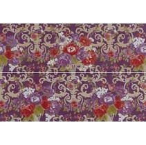 Petracer`s Primavera Romana Fioritura Su Viola (2 pezzi)