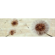 Декор Plaza Silk Dec. Momme Beige