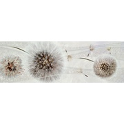 Декор Plaza Silk Dec. Momme Blanco