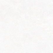 Напольная плитка Polcolorit Eterna PG-BE
