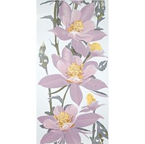 Polcolorit Alaska Lila Orlik