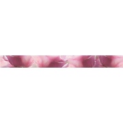 Бордюр Polcolorit Arco L-Digital Roza