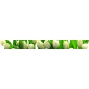 Бордюр Polcolorit Arco L-Digital Tulipany