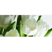 Панно Polcolorit Arco Digital Tulipan