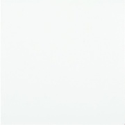 Напольная плитка Polcolorit Art Universal Bianco