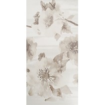 Polcolorit Versal Beige Beauty