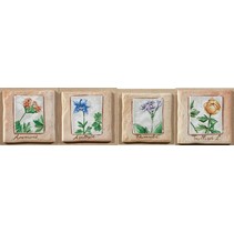 Polis Ceramiche Country Devon Ins. York ABCD (4 шт.)