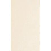 Напольная плитка Porcelaingres Concept White Silver