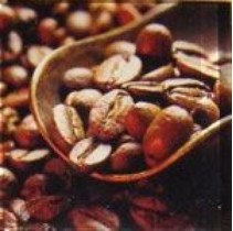 Profilab Coffeemania Coffee-3