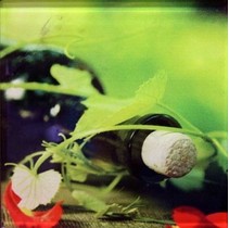 Profilab Vineyard 2