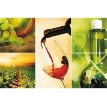 Profilab Vineyard mix