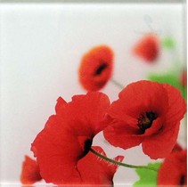 Profilab Wildflowers 2