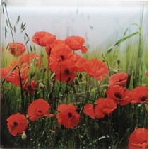 Profilab Wildflowers 4