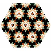 Realonda Andalusi Andalusi (12 из 24)