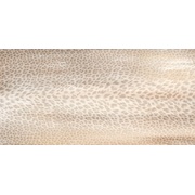 Напольная плитка Roberto Cavalli Home Giaguaro mask Lappato Conchiglia 11-2