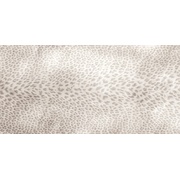 Напольная плитка Roberto Cavalli Home Giaguaro mask Lappato Grigio 11-2