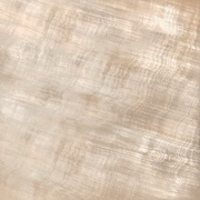 Напольная плитка Roberto Cavalli Home Tanduk Lappato Conchiglia 11
