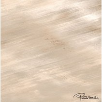 Roberto Cavalli Home Tanduk Lappato Conchiglia Firma 11