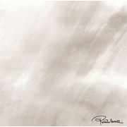 Декор Roberto Cavalli Home Tanduk Lappato Grigio Firma 11