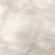 Напольная плитка Roberto Cavalli Home Tanduk Naturale Rett Grigio 11
