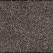 Напольная плитка Rocersa ceramic Livermore Ebony Pav