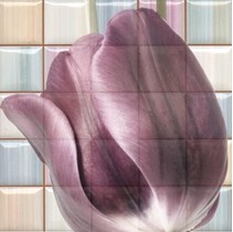 Rocersa ceramic Magic Dec Frame A Mix