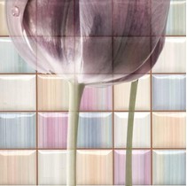 Rocersa ceramic Magic Dec Frame C Mix