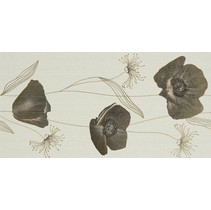 Rodnoe Dorati Decor Siena Beige