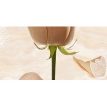 Rodnoe Majestic Charme Decor Honey 2