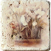 Настенная плитка Serenissima Cir Marble Age Ins.Travertino S/3 (Пять Цветков)