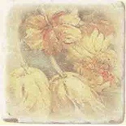 Декор Serenissima Cir Marble Age Inserto Ottocento Botticino S/3 (4 Цветка)