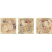 Декор Serenissima Cir Marble style Inserto S/3 Botticino Beige