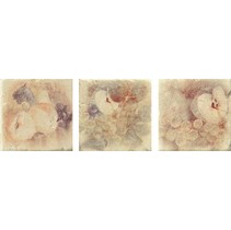 Serenissima Cir Marble style Inserto S/3 Botticino Beige
