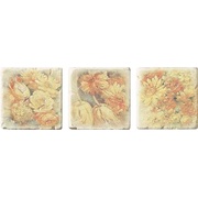 Декор Serenissima Cir Marble style Inserto S/3 Ottocento Botticino