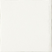 Напольная плитка Serenissima Cir Roma 53 Bianco 10