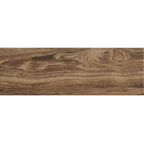 Stn Ceramica Паркет Ebano miel