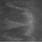Напольная плитка Tagina Fucina Nero fuliggine 6hfg7601
