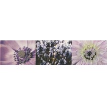 Tubadzin Maxima L-Violet 2