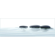 Декор Undefasa Ceramica Colorgloss Decorado Zen C