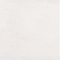 Venis Newport White